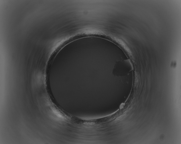 X0000093450391200710191107