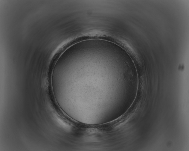 X0000093450392200710191107