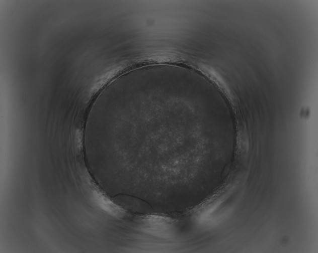 X0000093450393200710191107