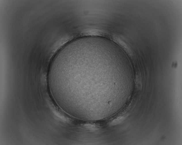 X0000093450394200710191107