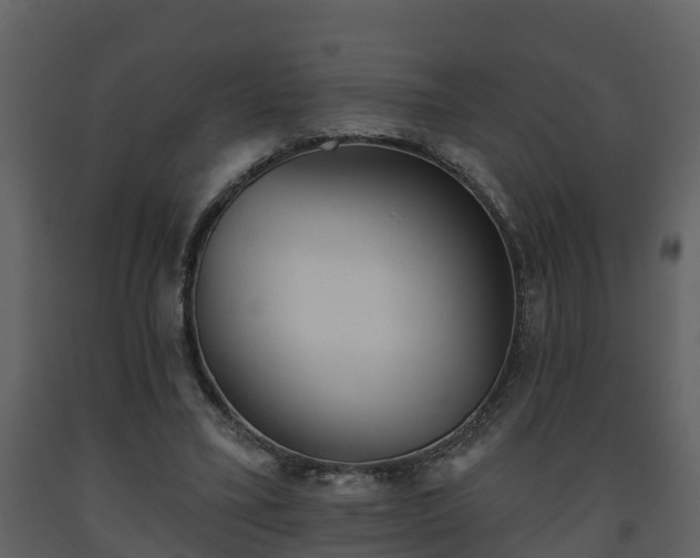 X0000093450395200710191107