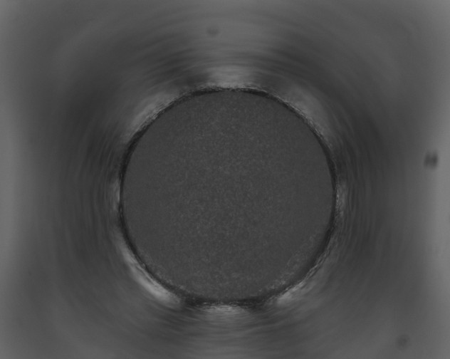 X0000093450397200710191107