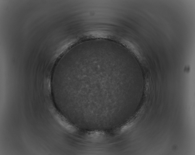 X0000093450398200710191107