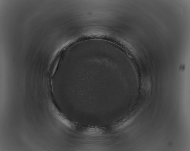 X0000093450399200710191107