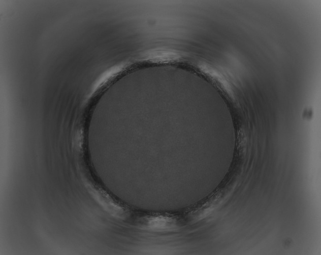 X0000093450400200710191107