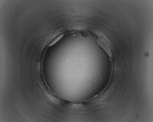 X0000093450401200710191107