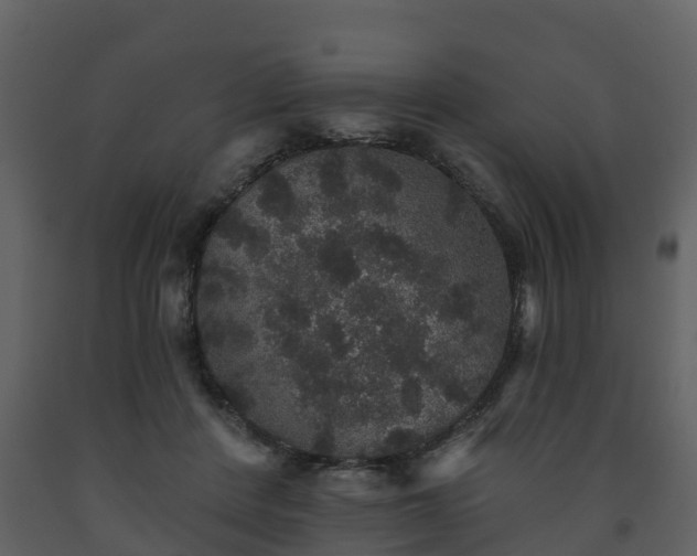 X0000093450408200710191107