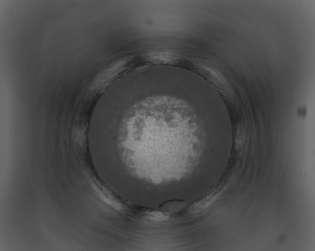 X0000093450409200710191107