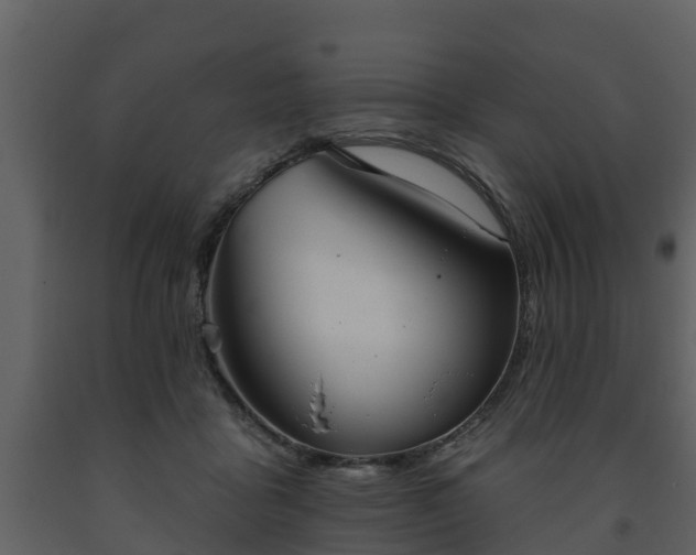 X0000093450411200710191107