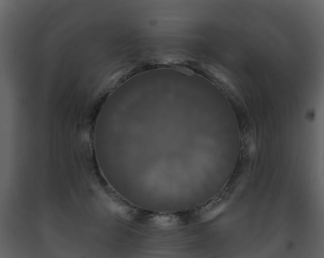 X0000093450415200710191107