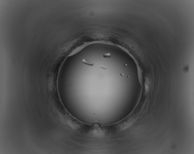 X0000093450416200710191107