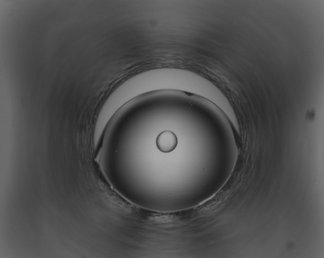 X0000093450417200710191107