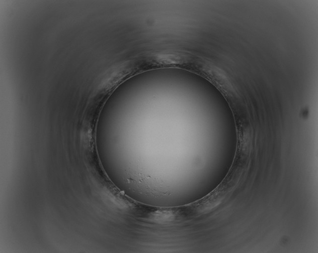 X0000093450418200710191107