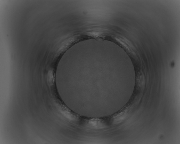 X0000093450420200710191107