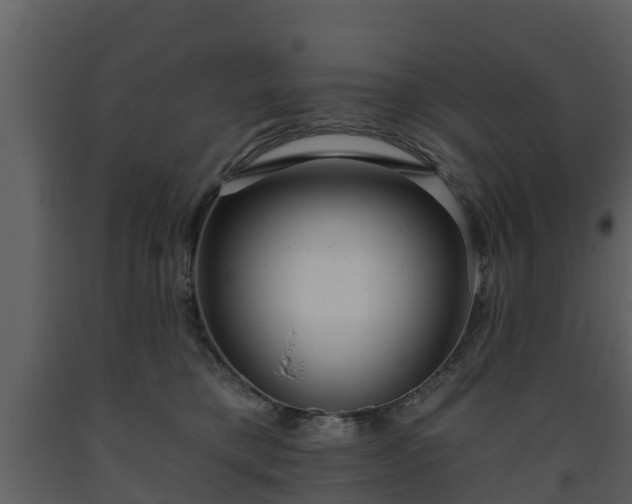 X0000093450421200710191107