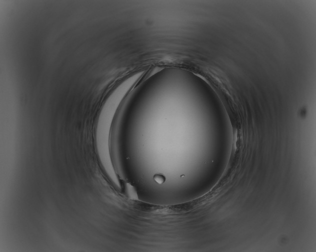 X0000093450423200710191107