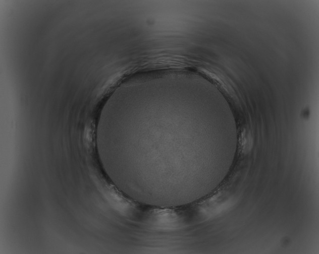 X0000093450424200710191107