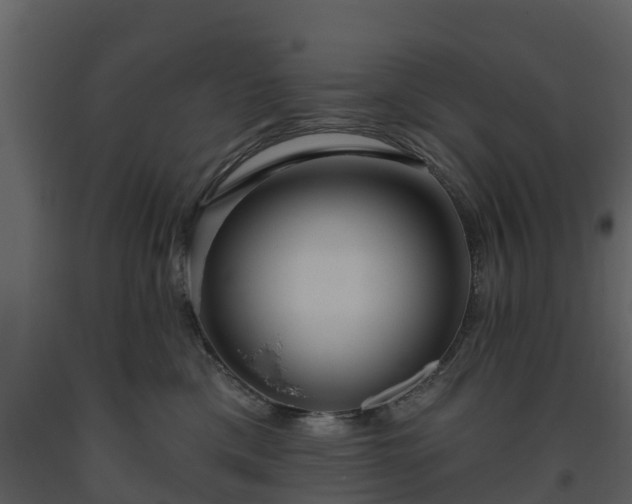 X0000093450425200710191107