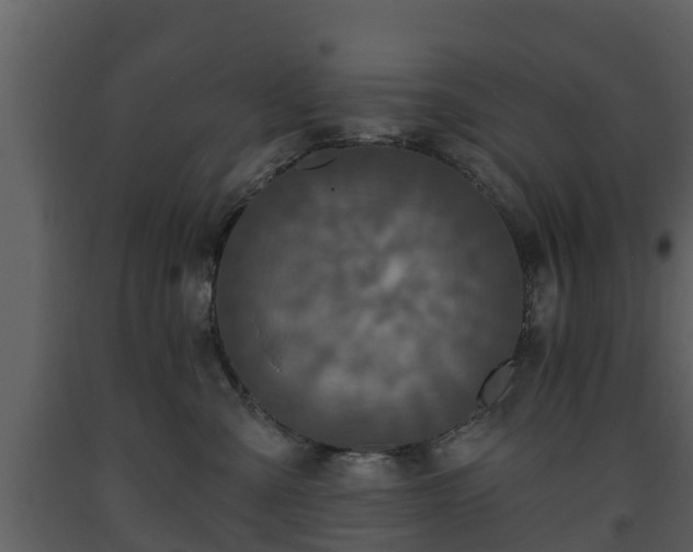 X0000093450427200710191107