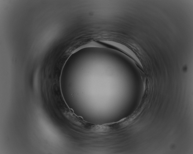 X0000093450429200710191107