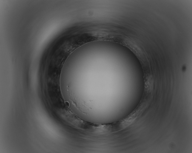 X0000093450430200710191107