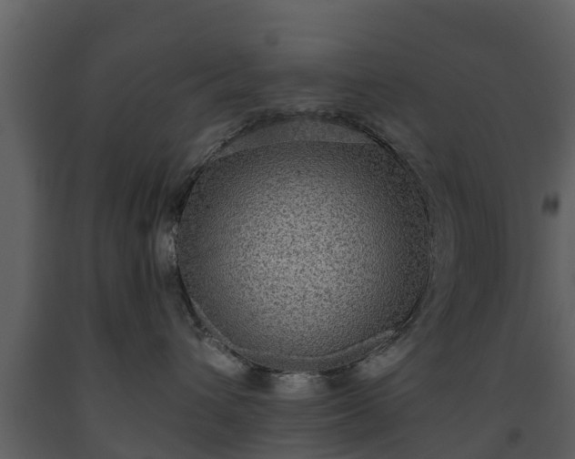 X0000093450432200710191107