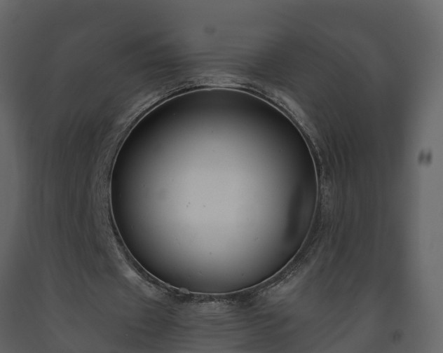 X0000093450433200710191106