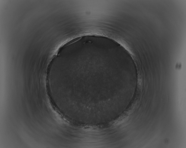 X0000093450434200710191106