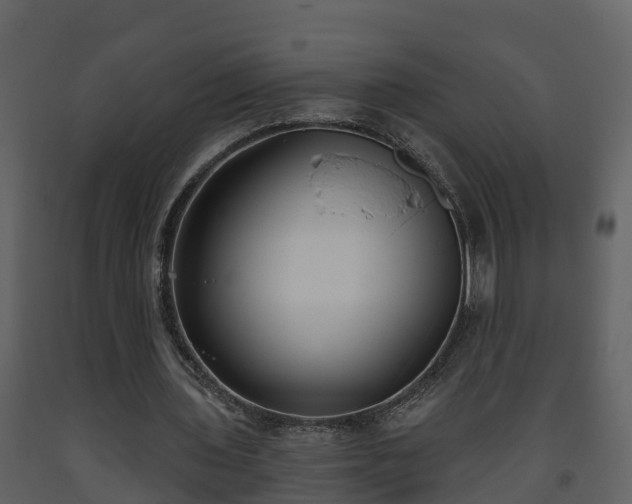 X0000093450435200710191106