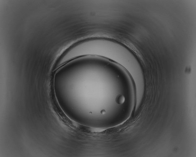 X0000093450436200710191106