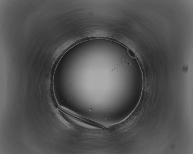 X0000093450437200710191106