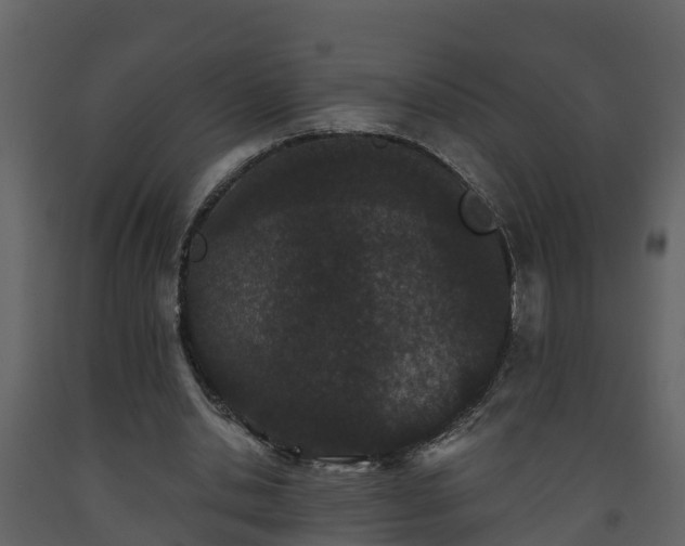 X0000093450438200710191106