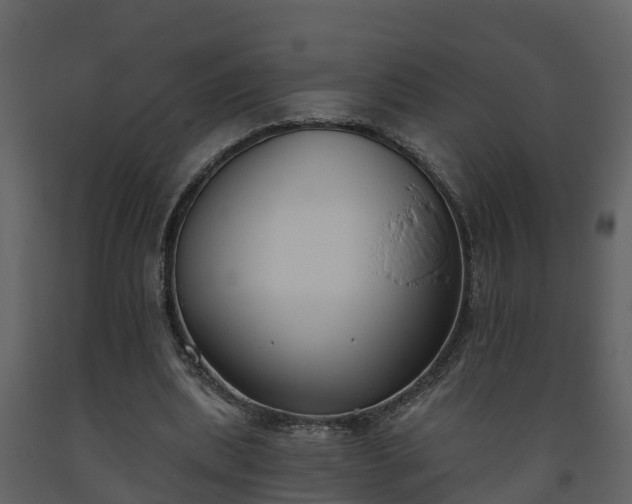 X0000093450439200710191106