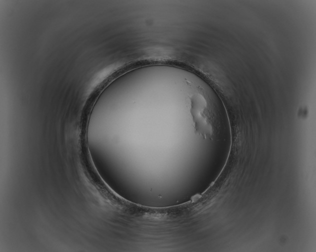 X0000093450440200710191106