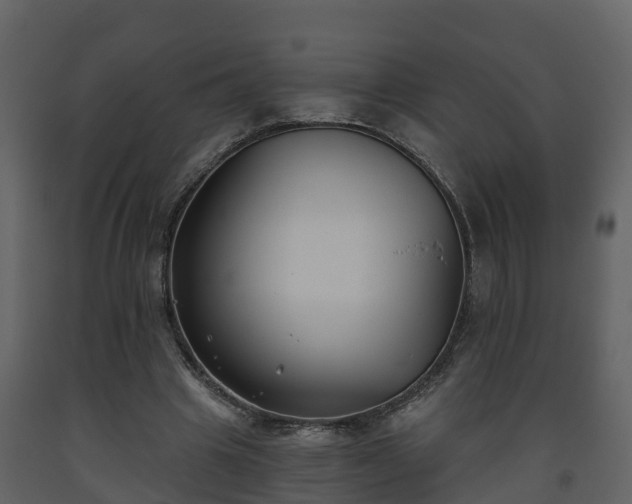 X0000093450441200710191106