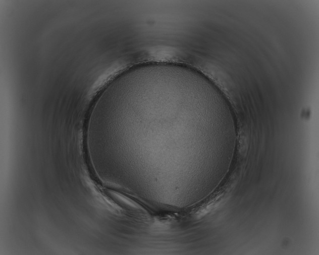 X0000093450442200710191106