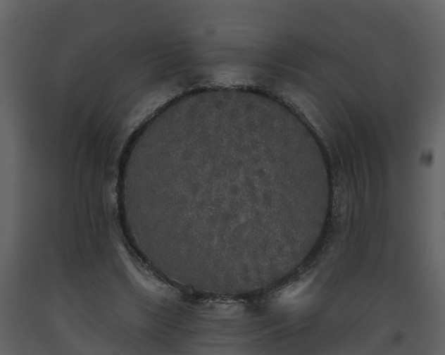 X0000093450443200710191106