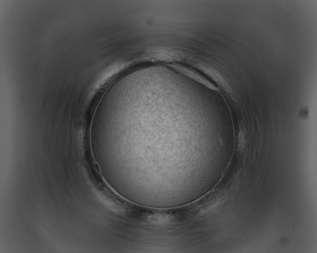 X0000093450444200710191106