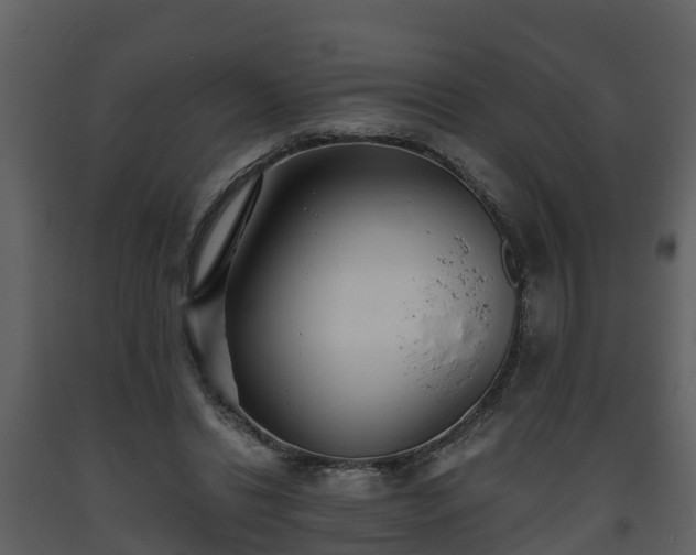 X0000093450446200710191106