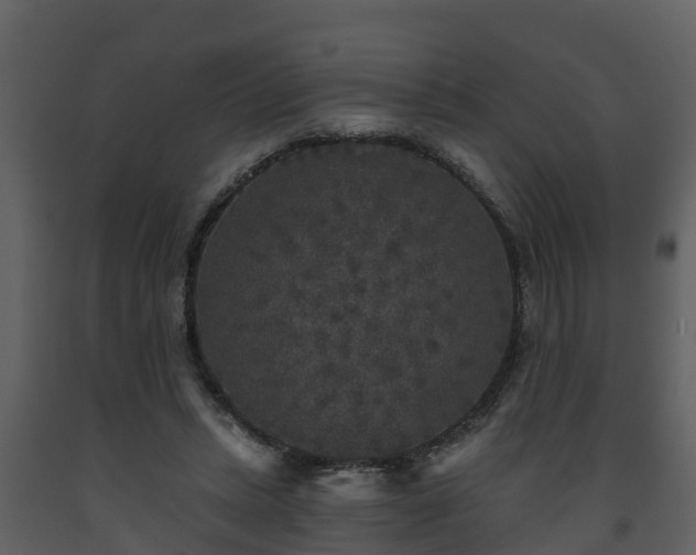 X0000093450447200710191106