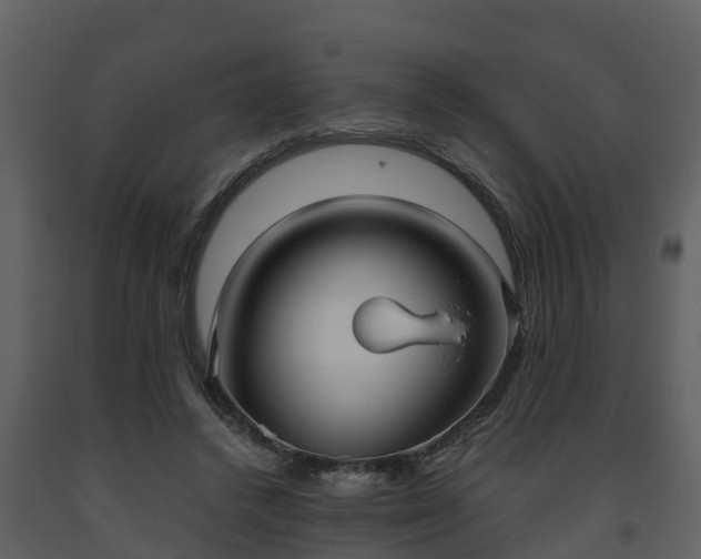 X0000093450448200710191106