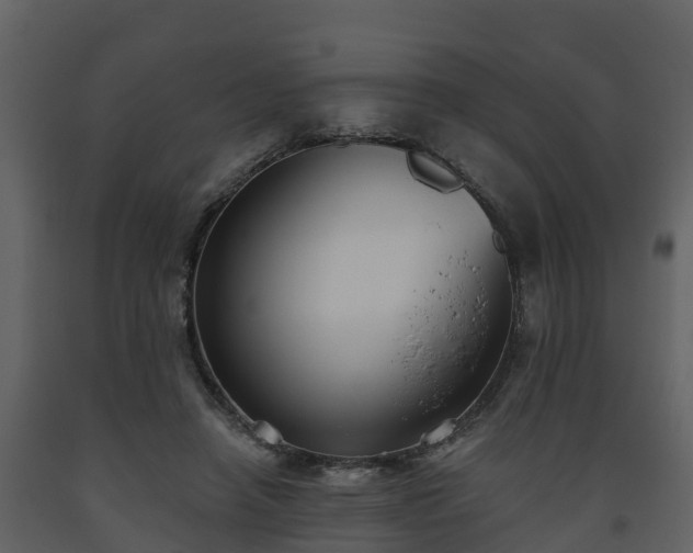 X0000093450450200710191106