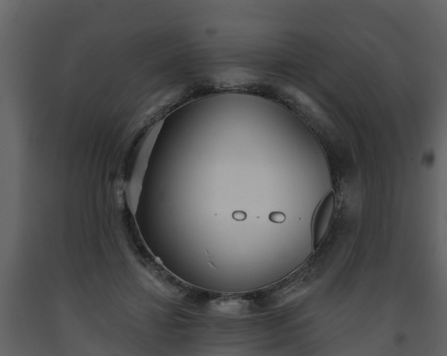 X0000093450452200710191106