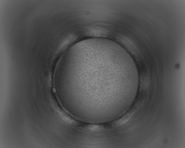 X0000093450453200710191106