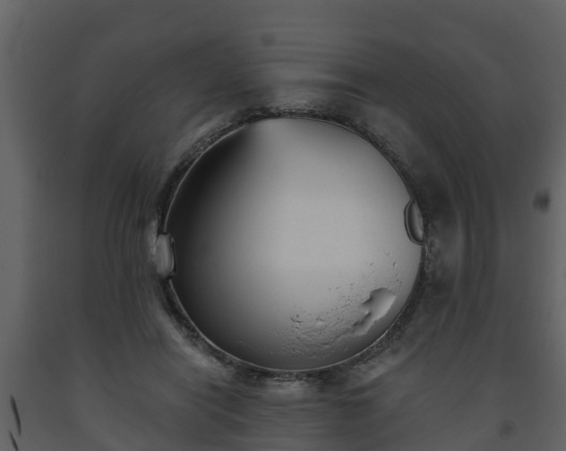 X0000093450454200710191106