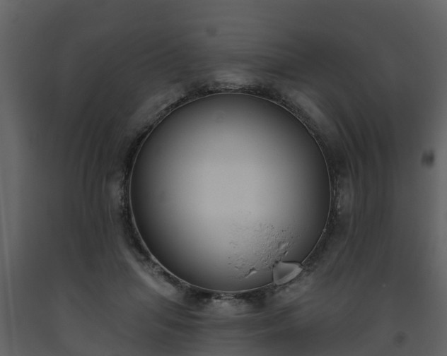 X0000093450455200710191106