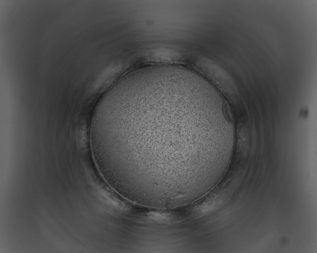 X0000093450457200710191106