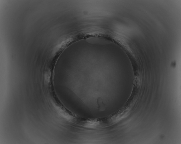 X0000093450458200710191106