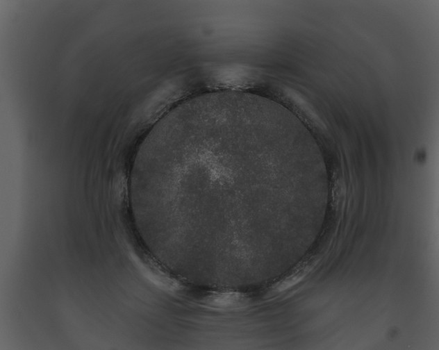 X0000093450459200710191106