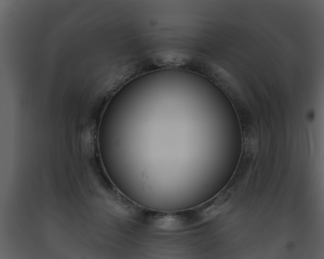 X0000093450460200710191106